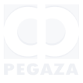 PEGAZA LTDA
